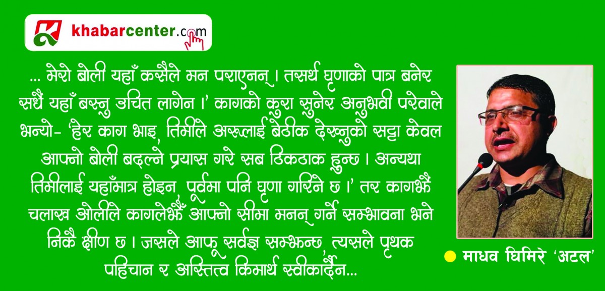 जाली र महाजालीबीचको माथापच्ची