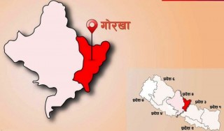 गोरखामा एकैदिन थप २२३ जनामा कोरोना संक्रमण पुष्टि, कुन पालिकामा कति ?