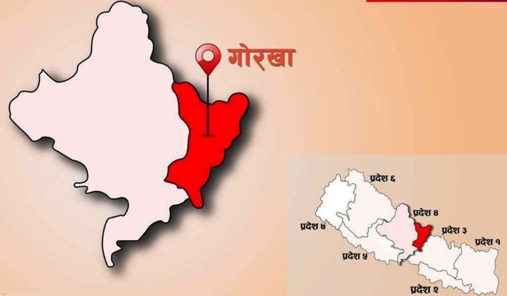 गोरखामा एकैदिन थप २२३ जनामा कोरोना संक्रमण पुष्टि, कुन पालिकामा कति ?