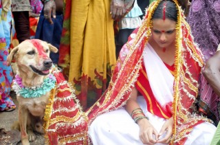 यस्तो अनौठो परम्परा भएको समाज, जहाँ कुकुरसँग महिलाको विवाह गराइन्छ