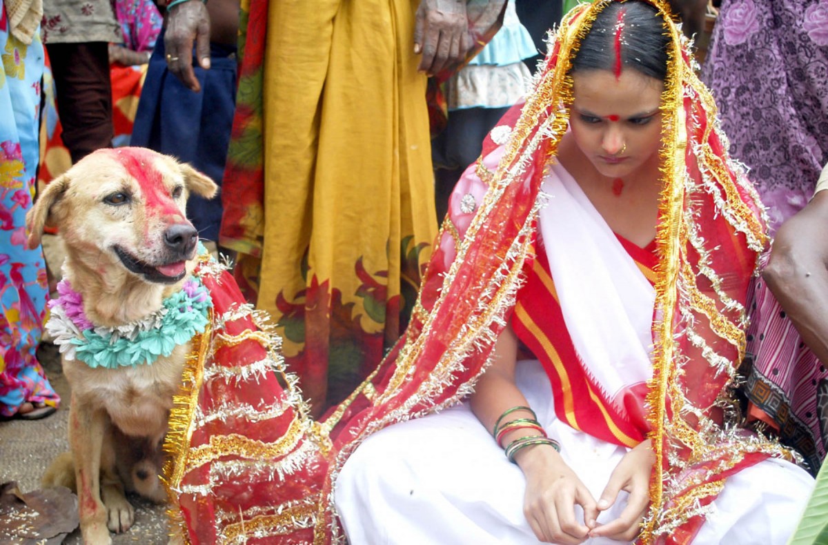 यस्तो अनौठो परम्परा भएको समाज, जहाँ कुकुरसँग महिलाको विवाह गराइन्छ