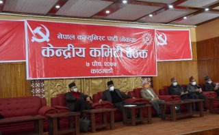 यस्ता छन् प्रचण्ड-माधव नेपाल समूहको बैठकका ९ एजेण्डा