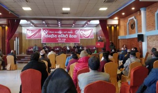खबरदार, संविधानको अपहरण नगरियोस् : प्रचण्ड 