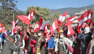 संसद विघटनविरुद्ध कांग्रेसको देशभर प्रदर्शन