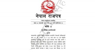 ओलीले महान्‍यायाधिवक्ता खरेललाई झपारे पछि रातारात छापियो राजपत्र, न्यायाधिशले गरे शंका 