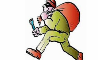 शहीदका शालिक चोरी