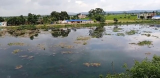 ताल संरक्षणका लागि मन्त्रालयसँग साझेदारी