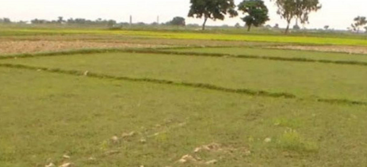 मुस्लिमको मदरसा निर्माणका लागि हिन्दूले गरे जग्गादान