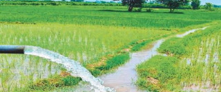 सात हजार २०० हेक्टर जमीनमा सिँचाइ