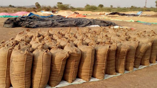 थप पाँच हजार क्विटल धान खरीद गरिने