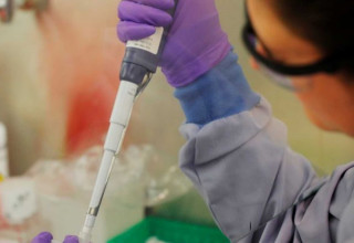 जापानमा पाँच मिनेटमै कोरोना परिक्षण हुने नयाँ प्रविधिको विकास