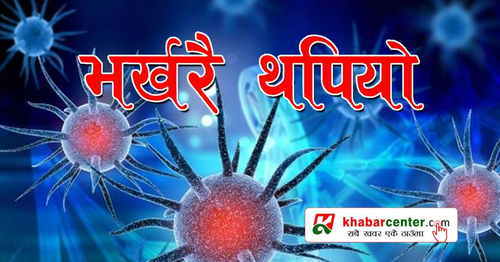 पछिल्लो २४घण्टामा २४१ जनामा कोरोना संक्रमण