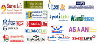 १९ जीवन बीमा कम्पनीले आर्जन गरे  १ खर्ब २ अर्ब बीमाशुल्क, कुन कम्पनीको कति ?
