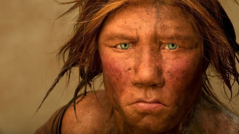 इजरायलमा फेला पर्‍यो नयाँ प्रकारको प्राचीन मानव प्रजातिको अवशेष