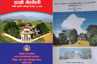 आफै पाठ्यक्रम तयार पार्ने स्थानीय तह कुन-कुन हुन् ?