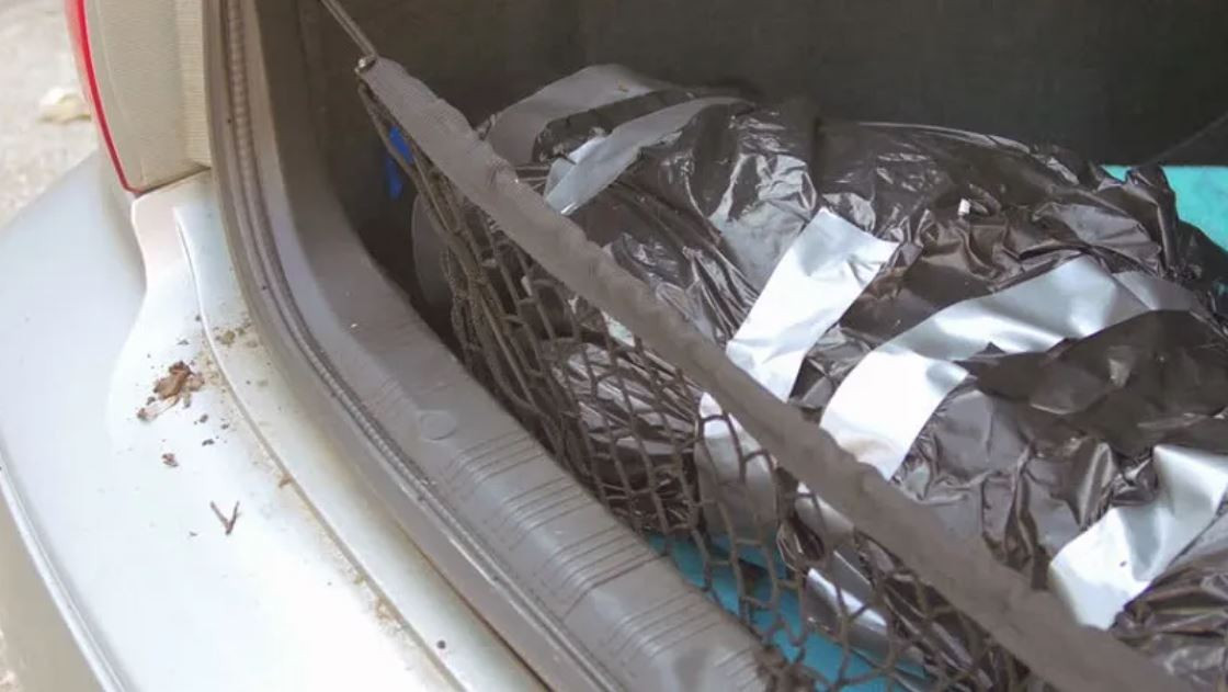 आफ्नै भतिजा र एक भतिजीको शव एक वर्ष देखि आफ्नै कारमा राखेर घुमिरहेकी थिइन् एक महिला, प्रहरीले जाँच गर्दा उड्यो निकोलको होस् !