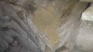 वितरण गर्न ल्याइएको चामल गोदाममै कुहियो