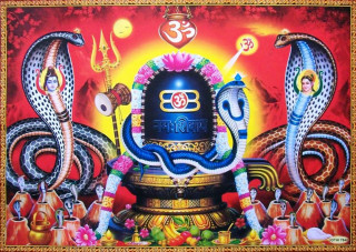 आज नागपञ्चमी : घरघरमा नागको पूजा आराधना गरि नागको तस्बिर टाँसेर मनाइँदै