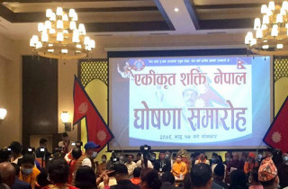 मनिषा कोइरालाले पार्टी खोलिन्, अध्यक्षमा त्रिपाठी