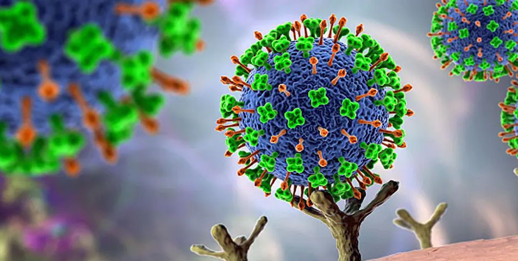 नेपालमा पनि निपाह भाइरसको जोखिम, के हो निपाह भाइरस, कसरी गर्ने रोकथाम ?