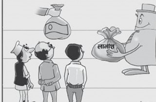 ६ वटा हाइड्रोपावर कम्पनीहरुले लाभांश घोषणा गरे,  कुनले कति दिने भयो ?