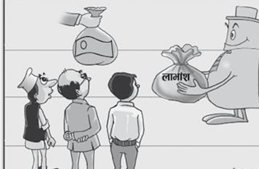 ६ वटा हाइड्रोपावर कम्पनीहरुले लाभांश घोषणा गरे,  कुनले कति दिने भयो ?