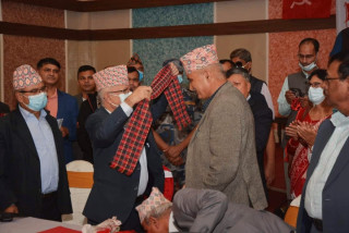 पूर्वमन्त्री जोशी एकीकृत समाजवादीमा