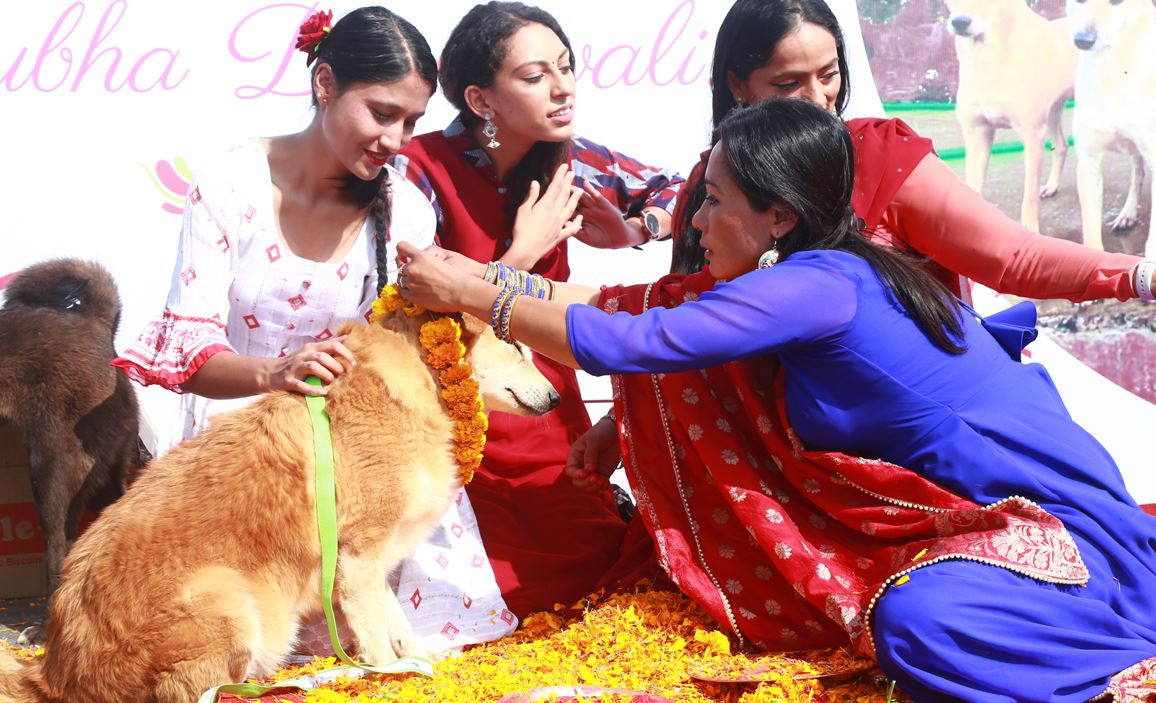 kukur puja.JPG