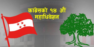 काँग्रेसले १४ औं महाधिवेशन  समिति गठनसहितका विषयमा छलफल