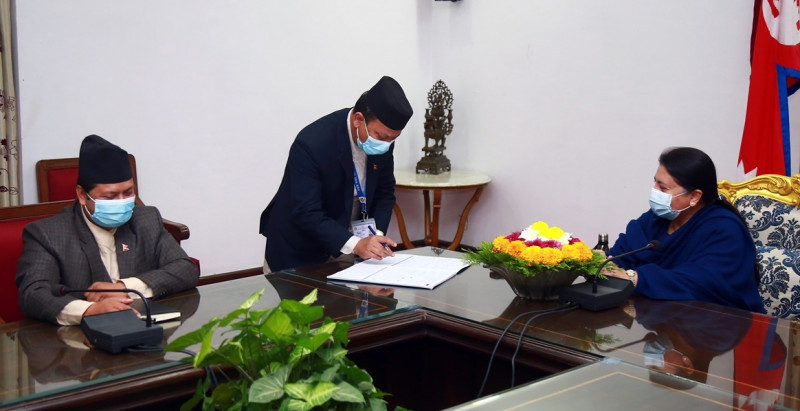 राष्ट्रपति लाई ८० प्रश्न सोधेर जनगणनाको प्रारम्भ गरियो