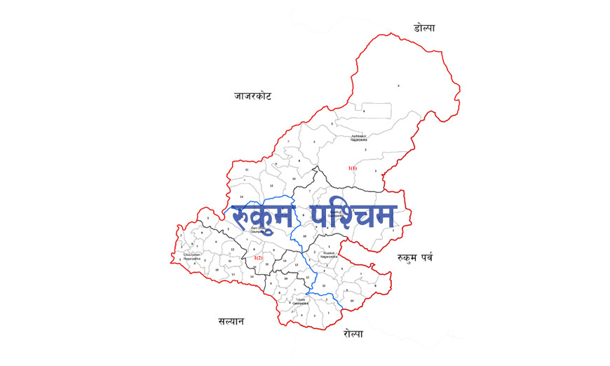 बजार बन्द गराउँदै हिँडेका  १२ जना विप्लवका कार्यकर्ता पक्राउ