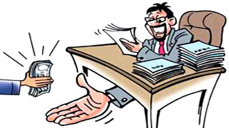 स्थानीय तह र शिक्षामा सबैभन्दा बढी अनियमितताका उजुरी, कुन प्रदेशबाट कति ? 