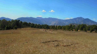 सरकारी उदासिनताले रोल्पाको बडाचौर विमानस्थल बन्यो खेलमैदान  