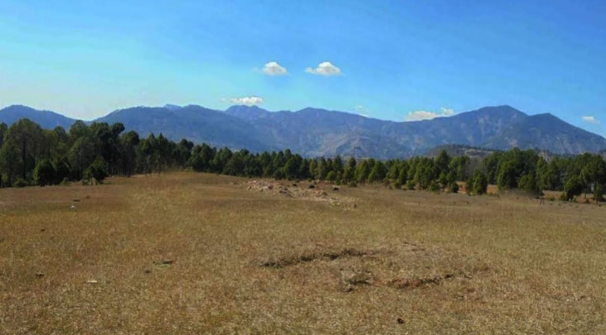 सरकारी उदासिनताले रोल्पाको बडाचौर विमानस्थल बन्यो खेलमैदान  