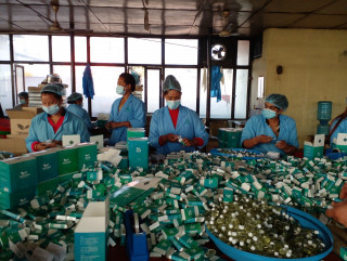 जडीबुटी कम्पनी खोलेको ४० वर्षपछि कम्पनी नाफामा, पहिलो पटक सर्वसाधारणलाई शेयर निष्काशन गर्ने तयारीमा