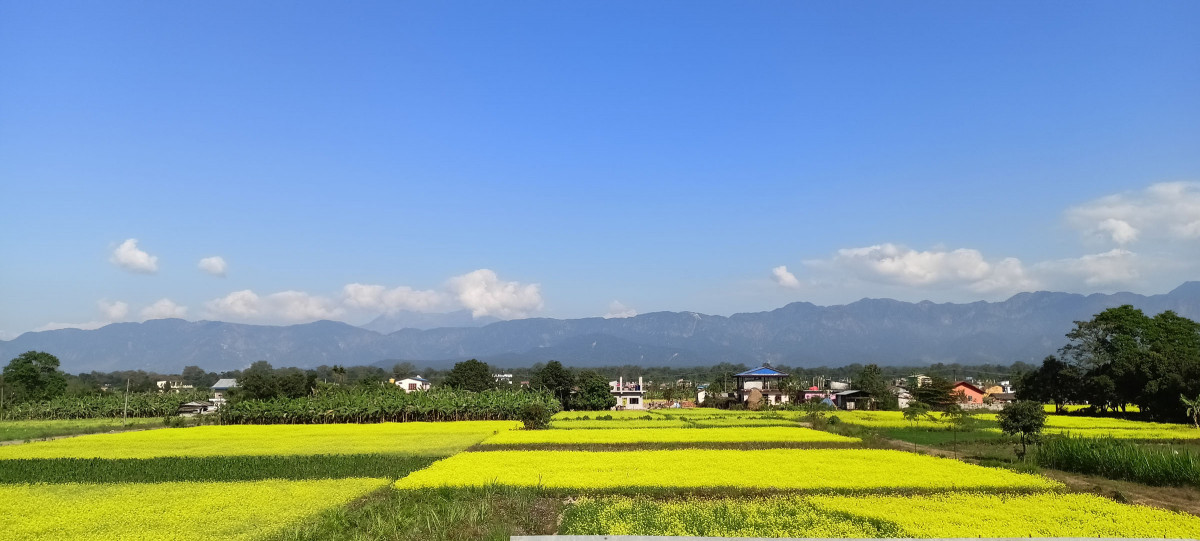 KamalKhatri_Beni_RSS_20(2).jpg