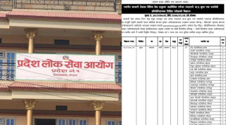 प्रदेश लोकसेवा आयोग विराटनगरले एकै पटक २७३ जना कर्मचारी माग, कुन स्थानीय तहबाट कति ? (सूचनासहित)