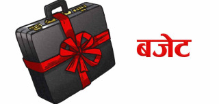 एकतिहाइ बजेट घोषणाको प्रगति शुन्य