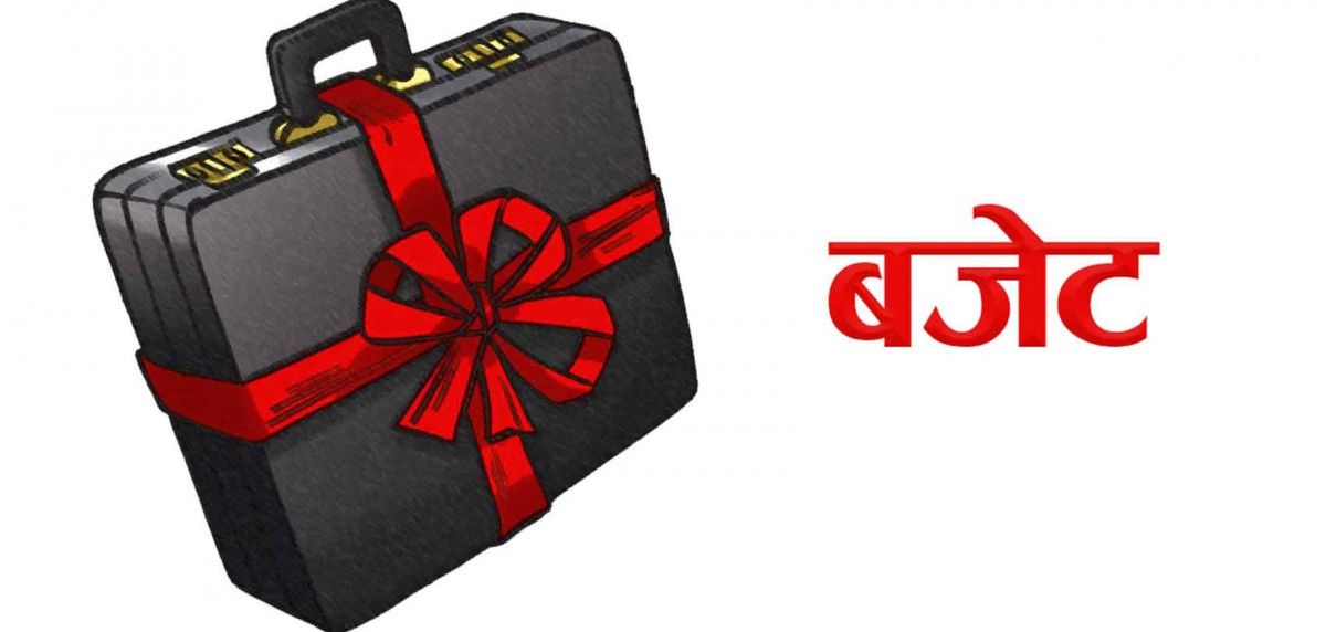 एकतिहाइ बजेट घोषणाको प्रगति शुन्य