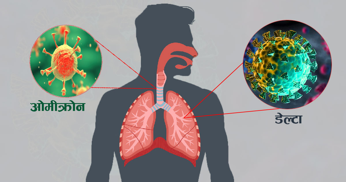 वैज्ञानिक डा.राम एस उपाध्यायको दावी-ओमीक्रोनकै कारण अन्त्य हुन्छ कोरोना महामारी