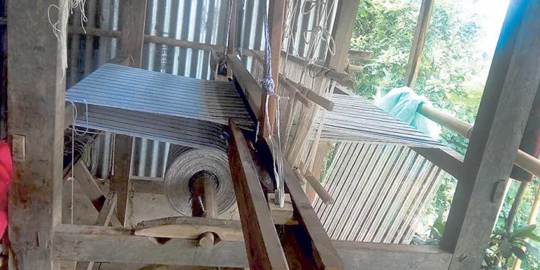 तिलामा राडीपाखी उद्योगले किसानलाई राहत