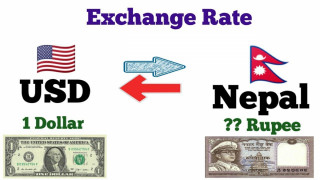 डरलको भाउ बढेर नयाँ रकर्ड कायम, १ डलर साट्न नेपाली १२६ रुपैयाँ १८ पैसा