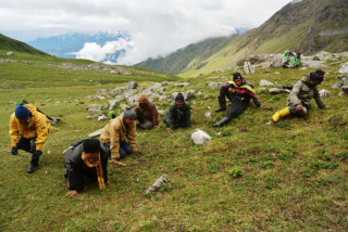 एक महिना यार्सागुम्बा टिपेर वर्षभरिको जोहो
