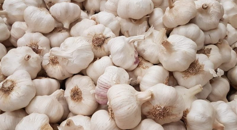 लसुनले भाउ पाएन