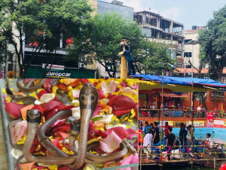 आज नागपञ्चमी पर्व मनाइँदै, के छ धार्मिक महत्त्व ?