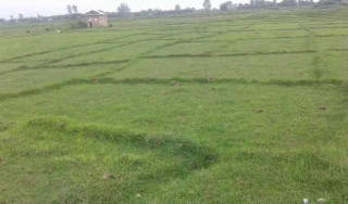 नार्कको बाँझो जमिनबारे अध्ययन गर्न कार्यदल गठन