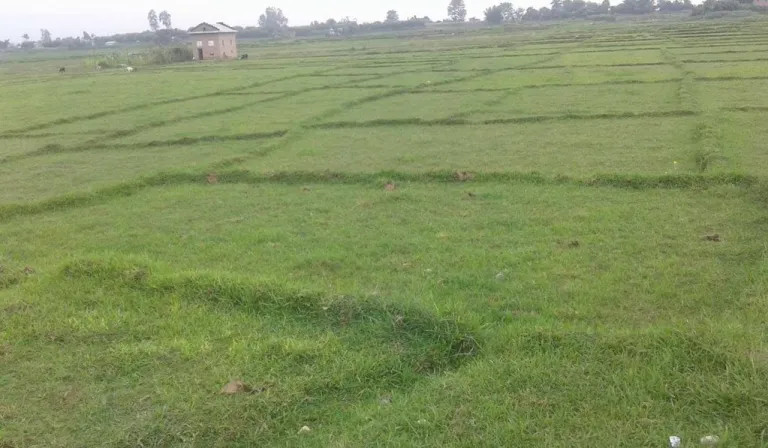 नार्कको बाँझो जमिनबारे अध्ययन गर्न कार्यदल गठन