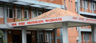 वन मन्त्रालयमा विकृति मौलाउँदो, कर्मचारी व्यवस्थापनमा त्रुटि नै त्रुटि