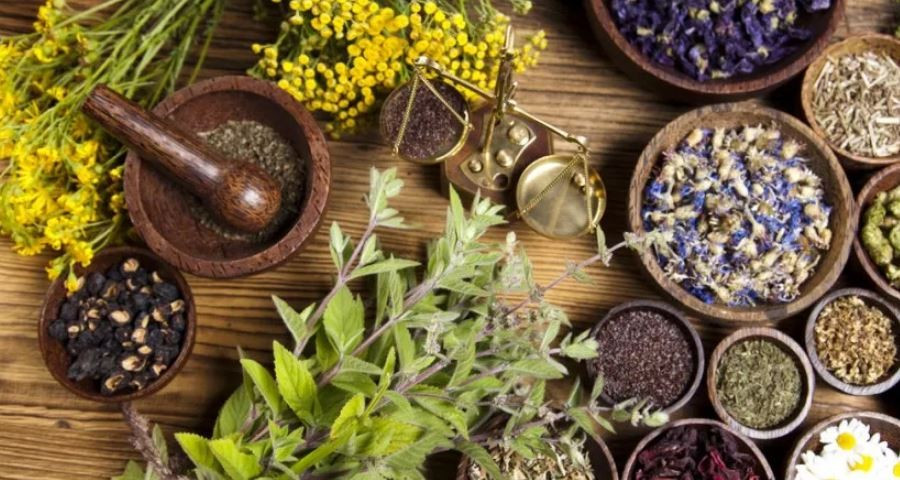 जडीबुटी निकासी नहुँदा व्यवसायी मर्कामा, अझै तिन हजार टन जडीबुटी निर्यात गर्न बाँकी