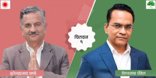 चितवन १ मा विश्वनाथको अग्रता, एमालेका पाण्डे तेस्रो स्थानमा